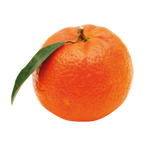 Mandarin